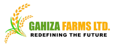 Gahiza Farms
