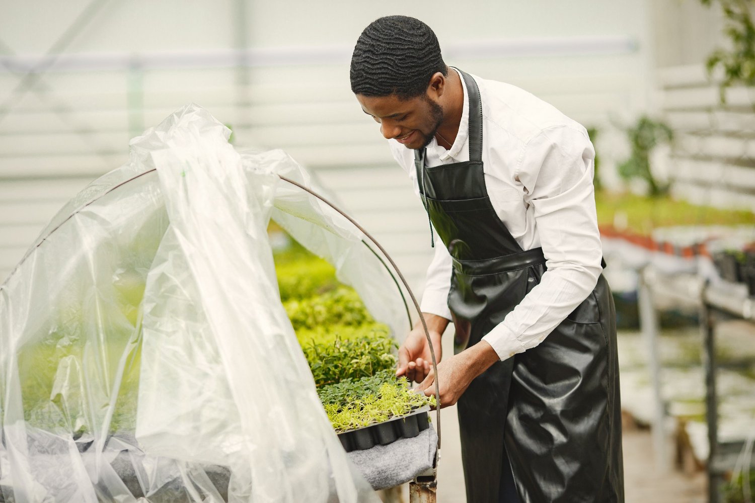 Climate and agriculture
